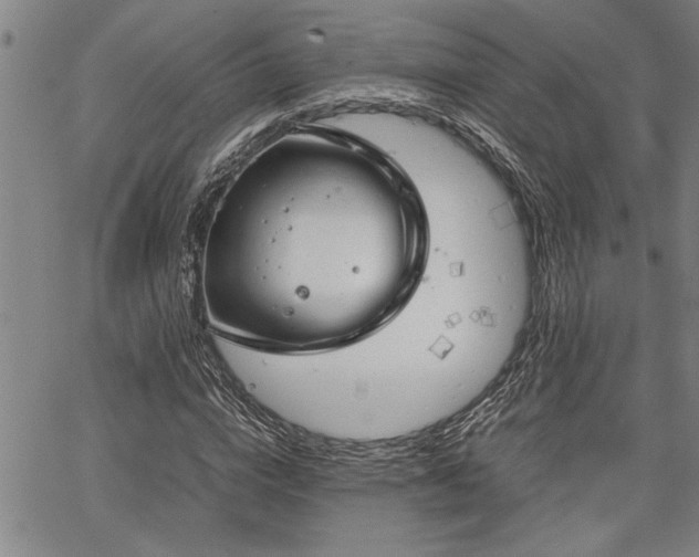 X0000067520824200604071319