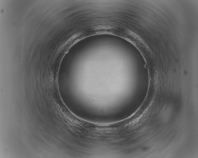 X0000067520825200604071319