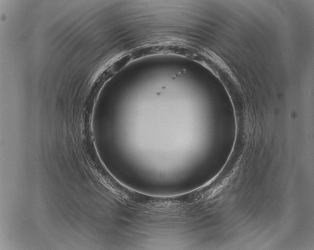 X0000067520826200604071319