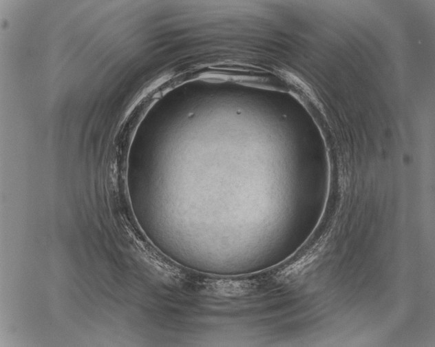 X0000067520827200604071319