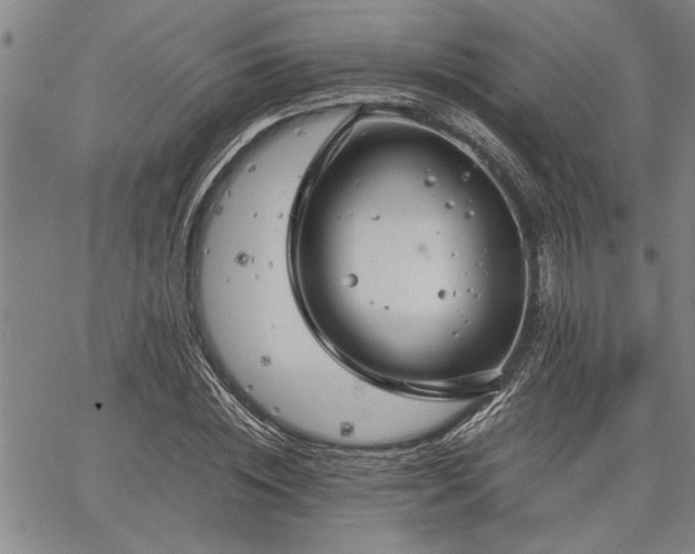 X0000067520828200604071319