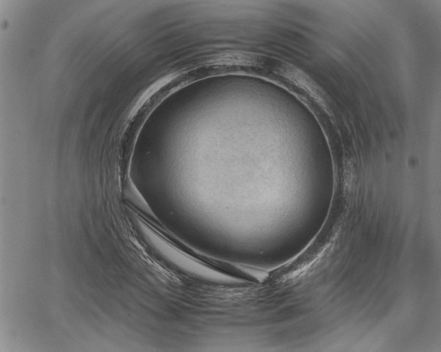 X0000067520829200604071319