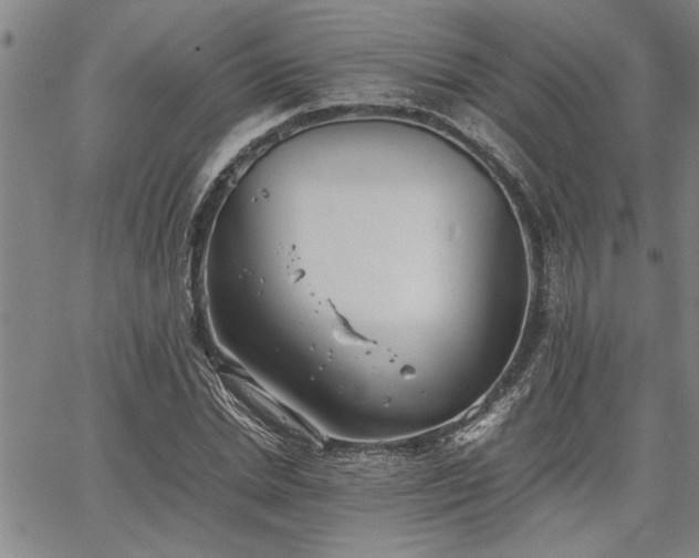 X0000067520830200604071319