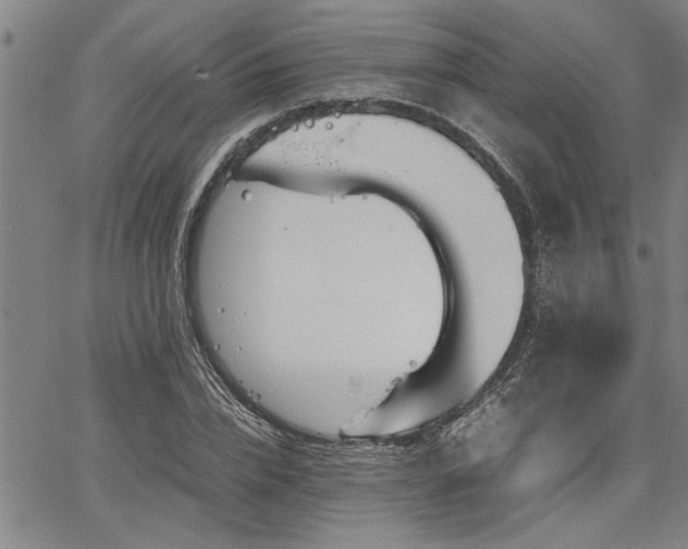 X0000067520832200604071319