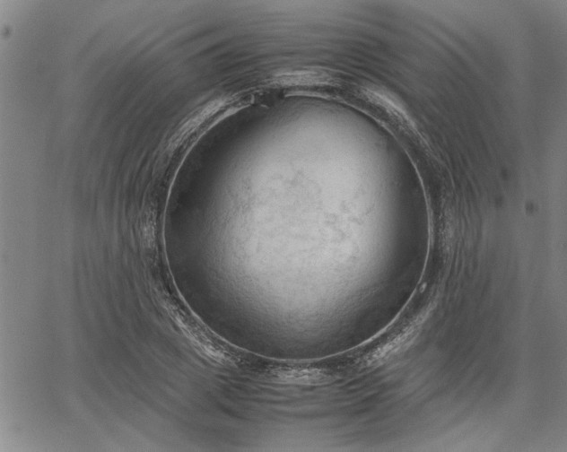 X0000067520833200604071319