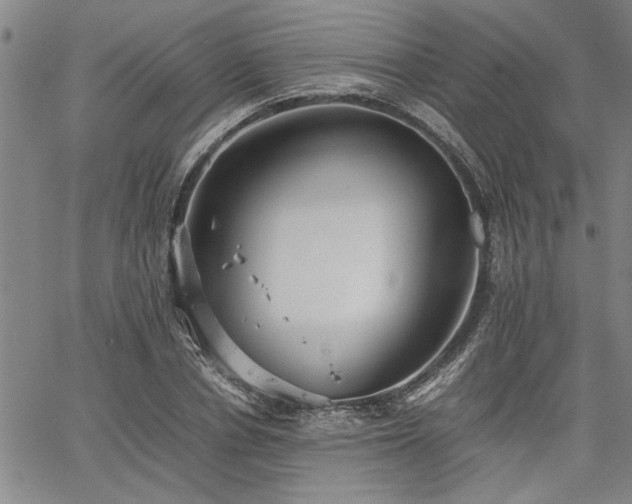 X0000067520834200604071319