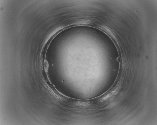 X0000067520835200604071319