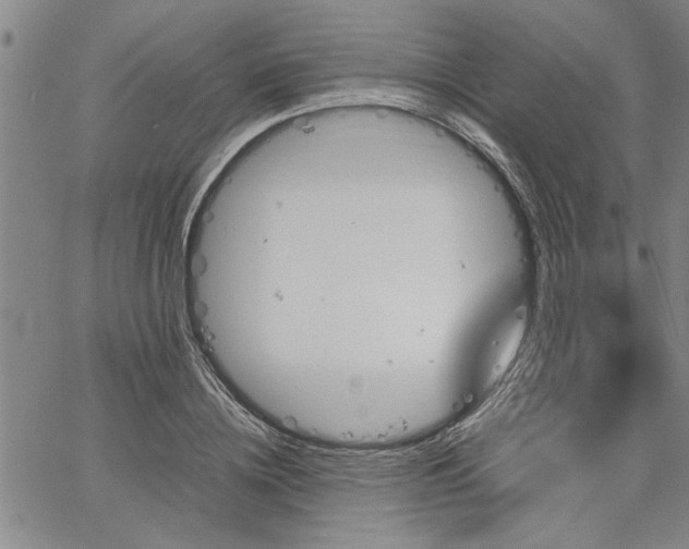 X0000067520836200604071319