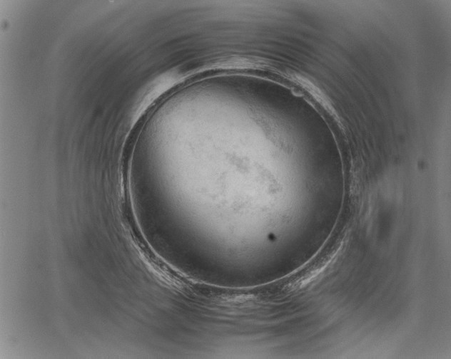 X0000067520837200604071319