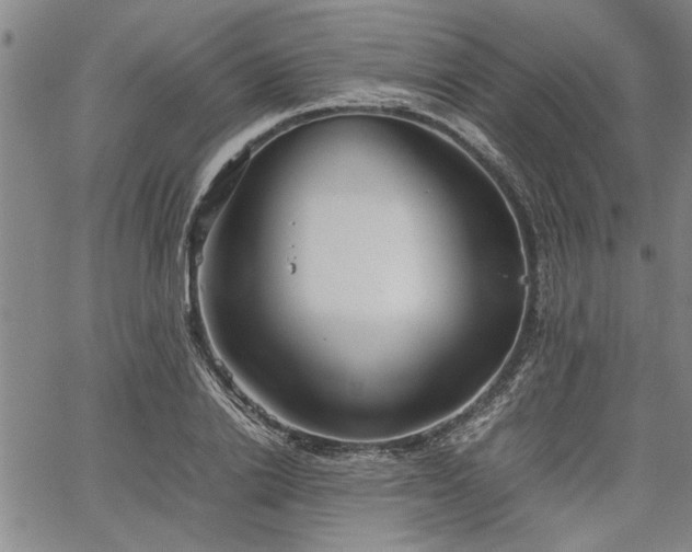 X0000067520838200604071319