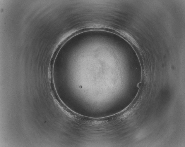 X0000067520839200604071319