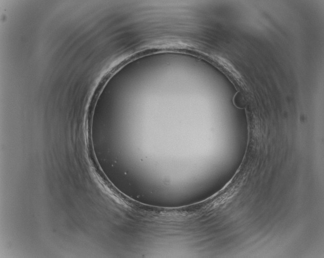 X0000067520840200604071319