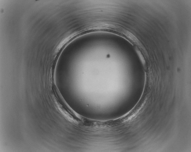 X0000067520842200604071319