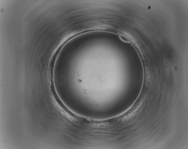 X0000067520843200604071319