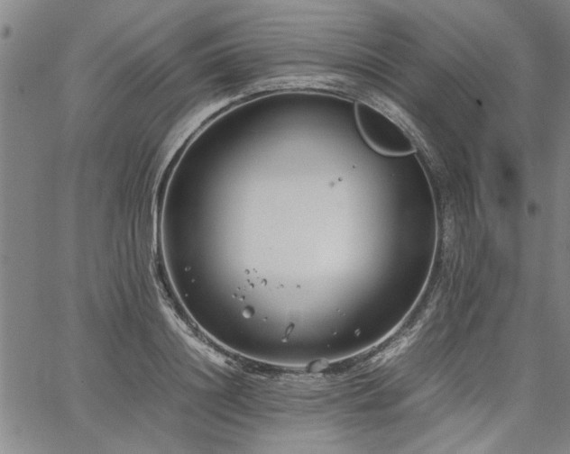 X0000067520844200604071319