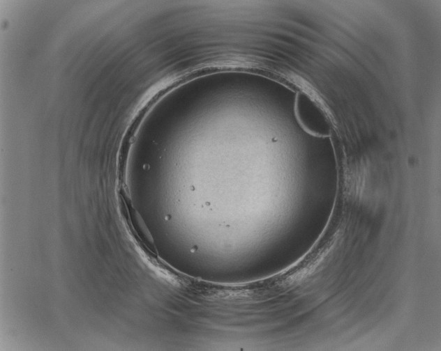 X0000067520845200604071319