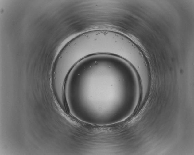 X0000067520846200604071319