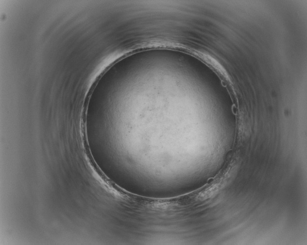 X0000067520847200604071319