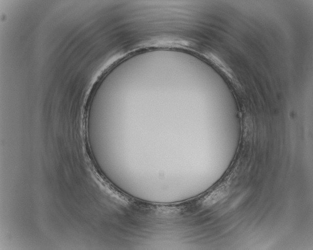 X0000067520848200604071319