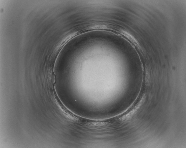 X0000067520849200604071319