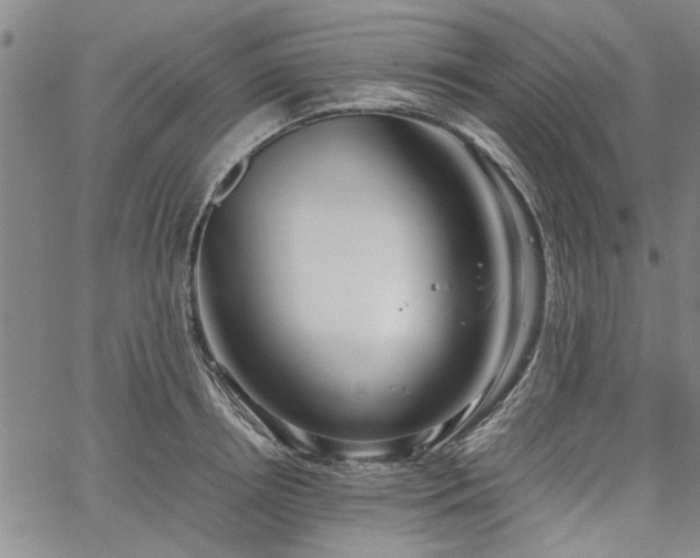 X0000067520850200604071319