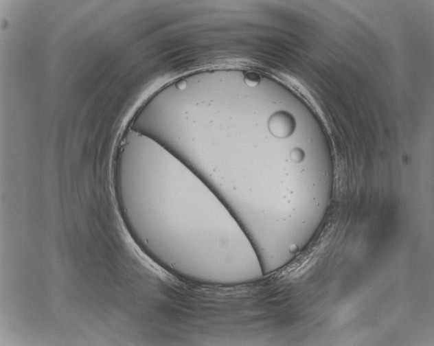 X0000067520851200604071319