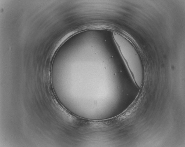 X0000067520852200604071319