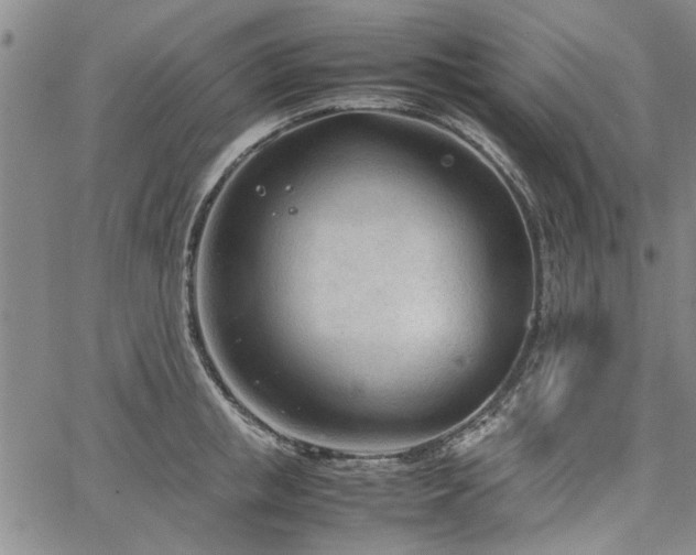 X0000067520853200604071319