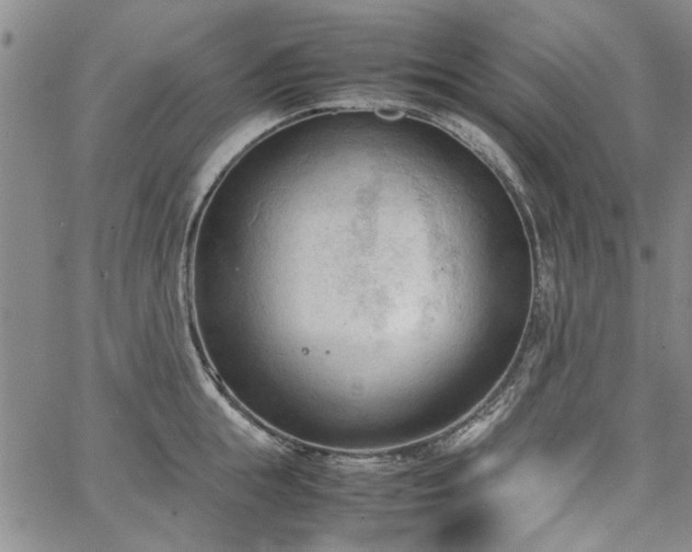 X0000067520855200604071319