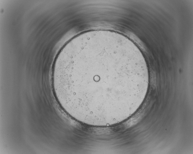 X0000067520856200604071319