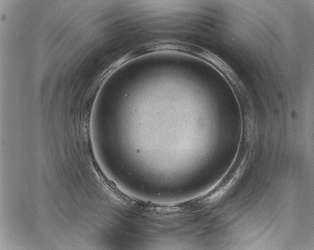 X0000067520857200604071319