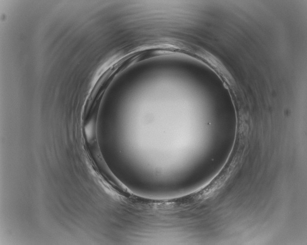 X0000067520858200604071319