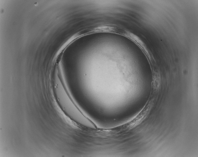 X0000067520859200604071319