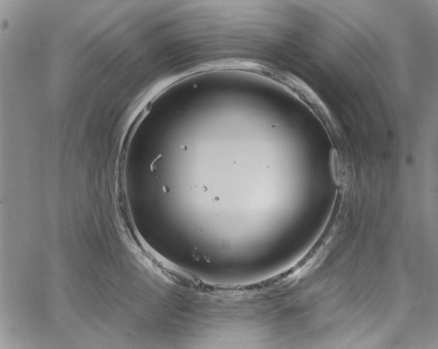 X0000067520860200604071319