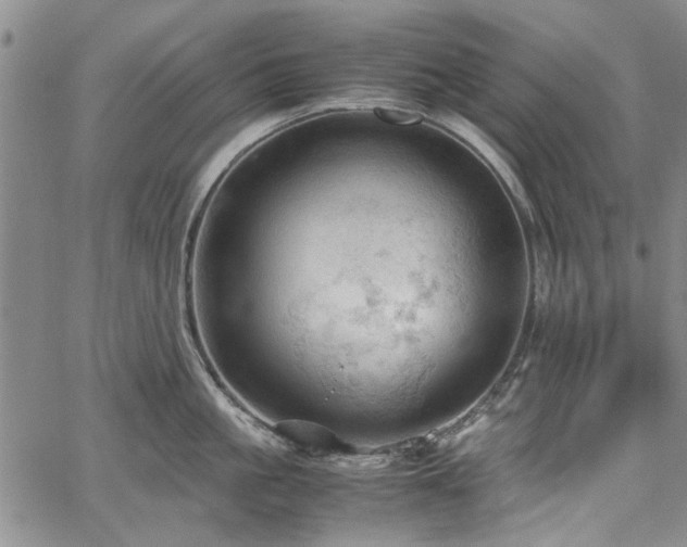 X0000067520861200604071319