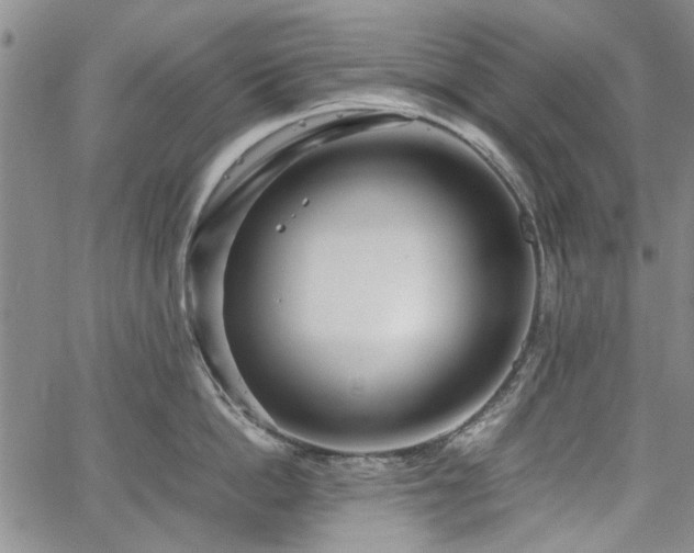 X0000067520862200604071319