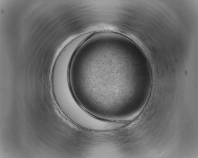 X0000067520864200604071320