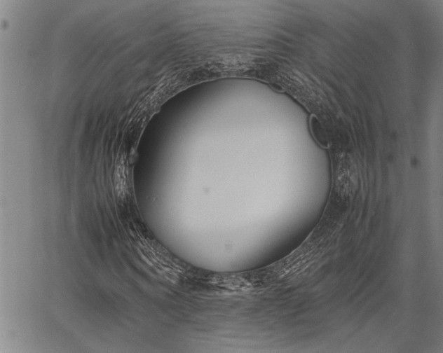 X0000067520866200604071319