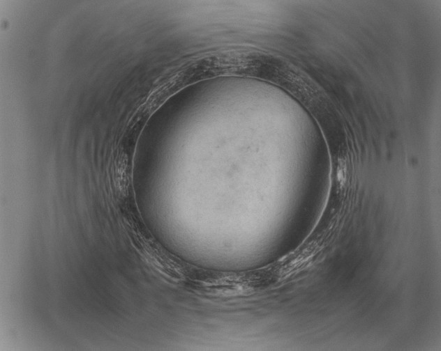 X0000067520867200604071319