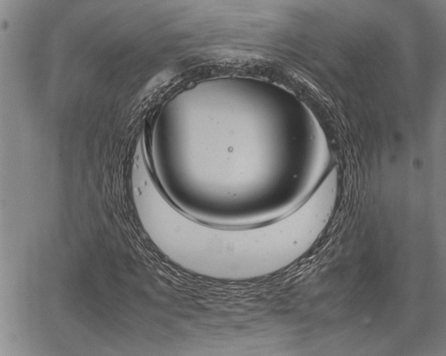 X0000067520869200604071319