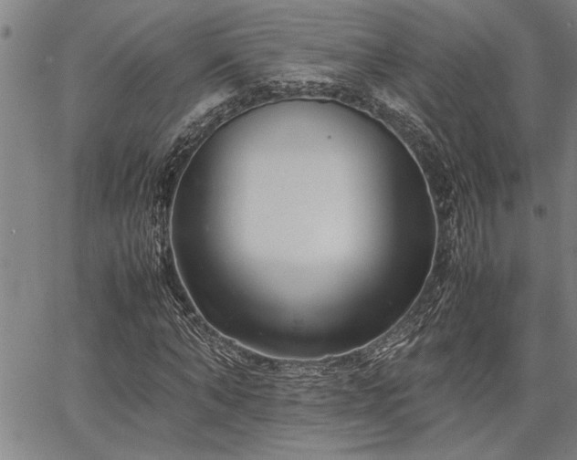 X0000067520870200604071319