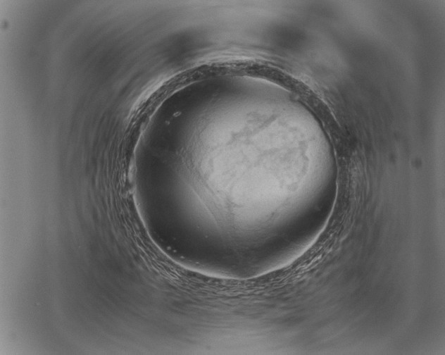 X0000067520871200604071319