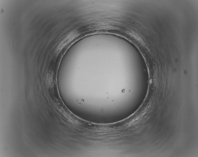 X0000067520873200604071319