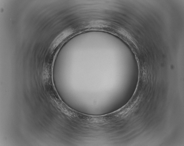 X0000067520874200604071319