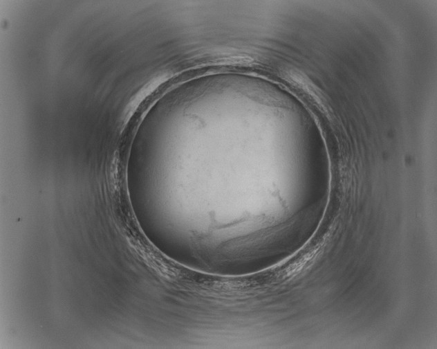 X0000067520875200604071319