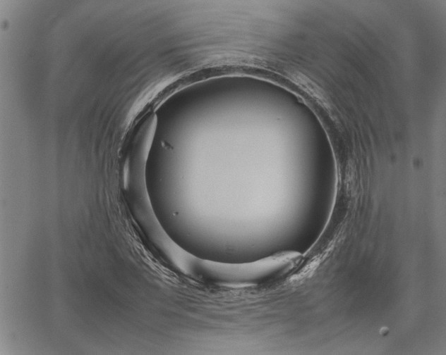 X0000067520877200604071319