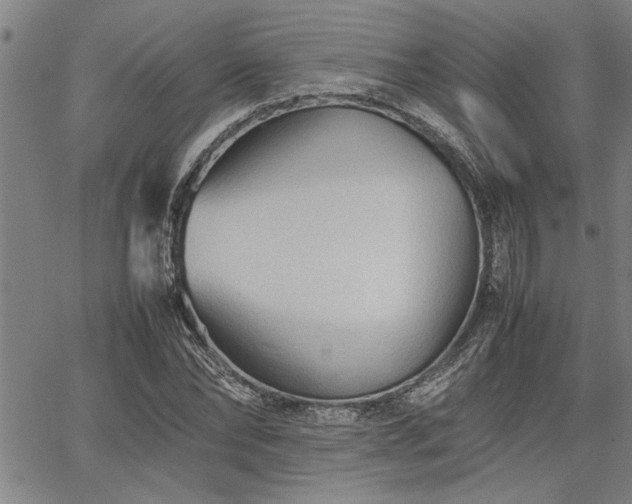 X0000067520878200604071319