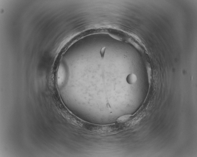 X0000067520879200604071319