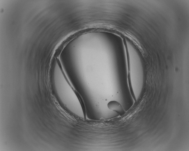 X0000067520880200604071318