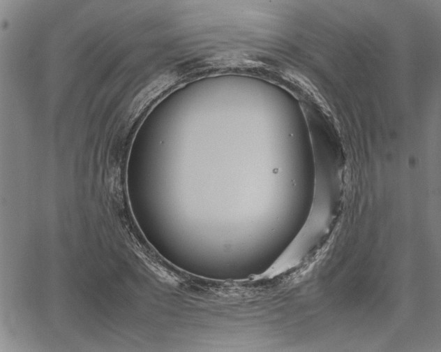 X0000067520881200604071318